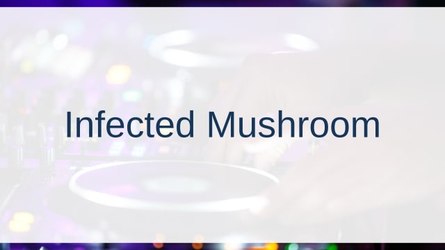 Infected Mushroom(インフェクテッド・マッシュルーム)
